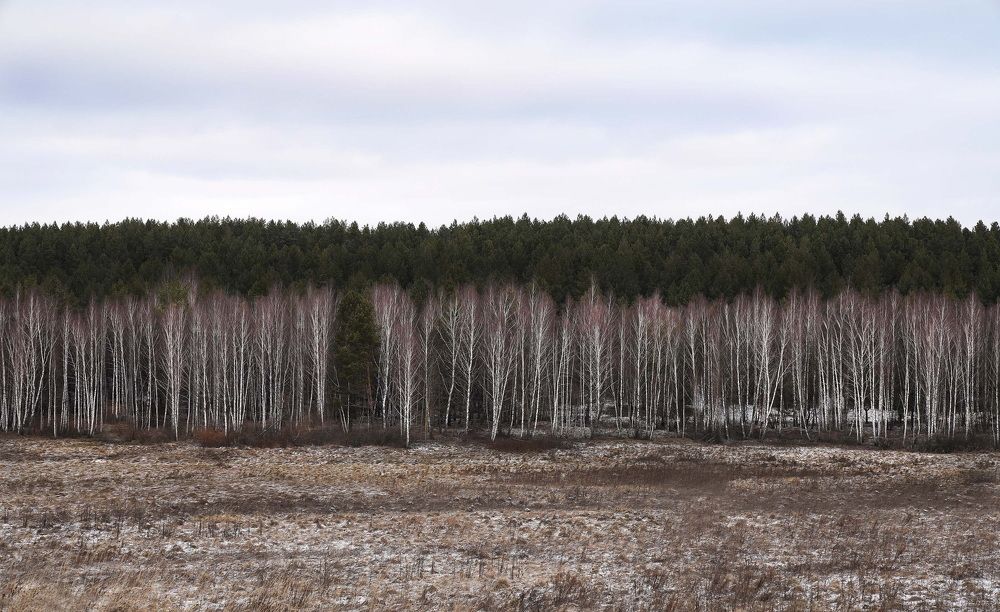 Photograph by Ирина Ксензова