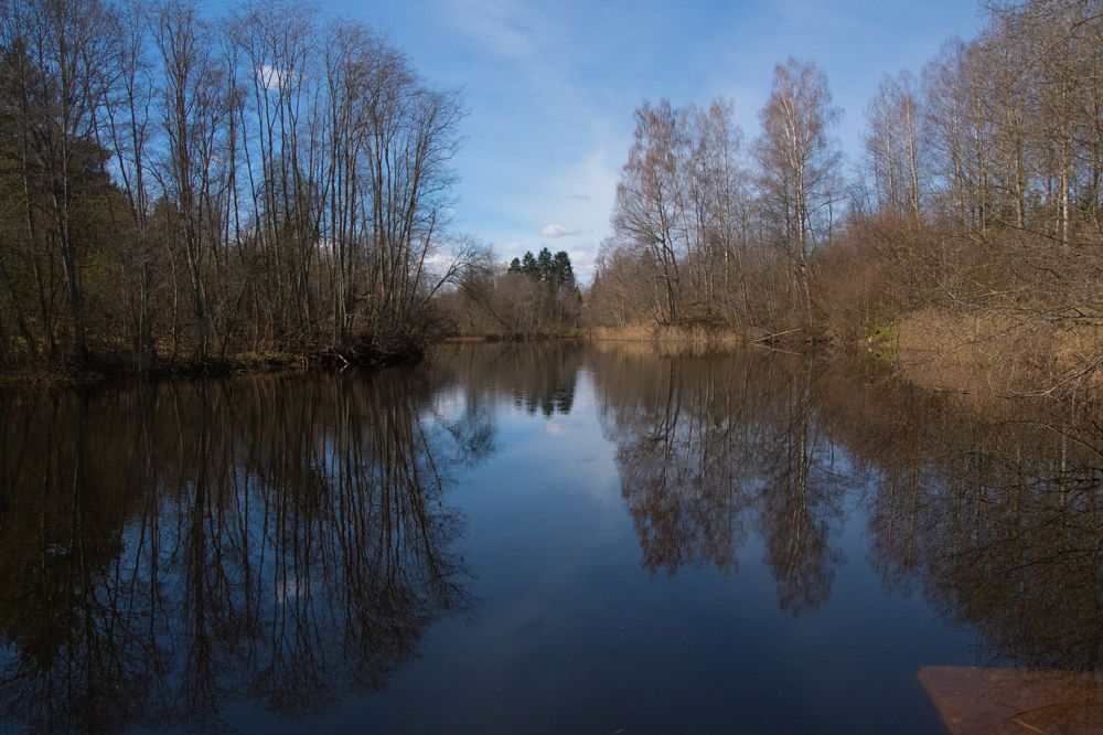 Photograph by Ксения Малютина