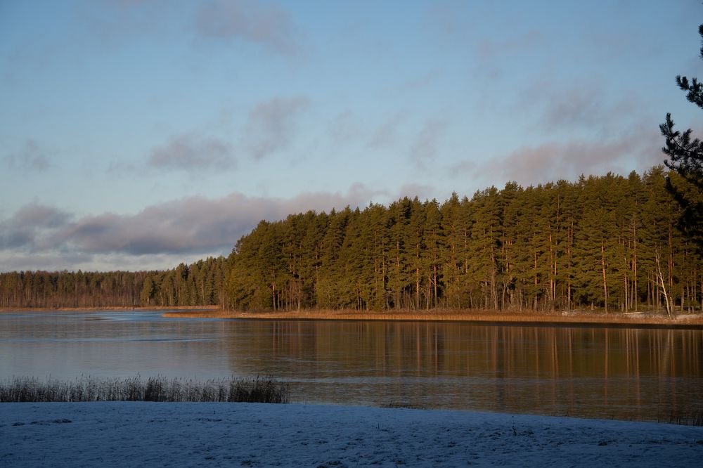 Photograph by Ксения Малютина