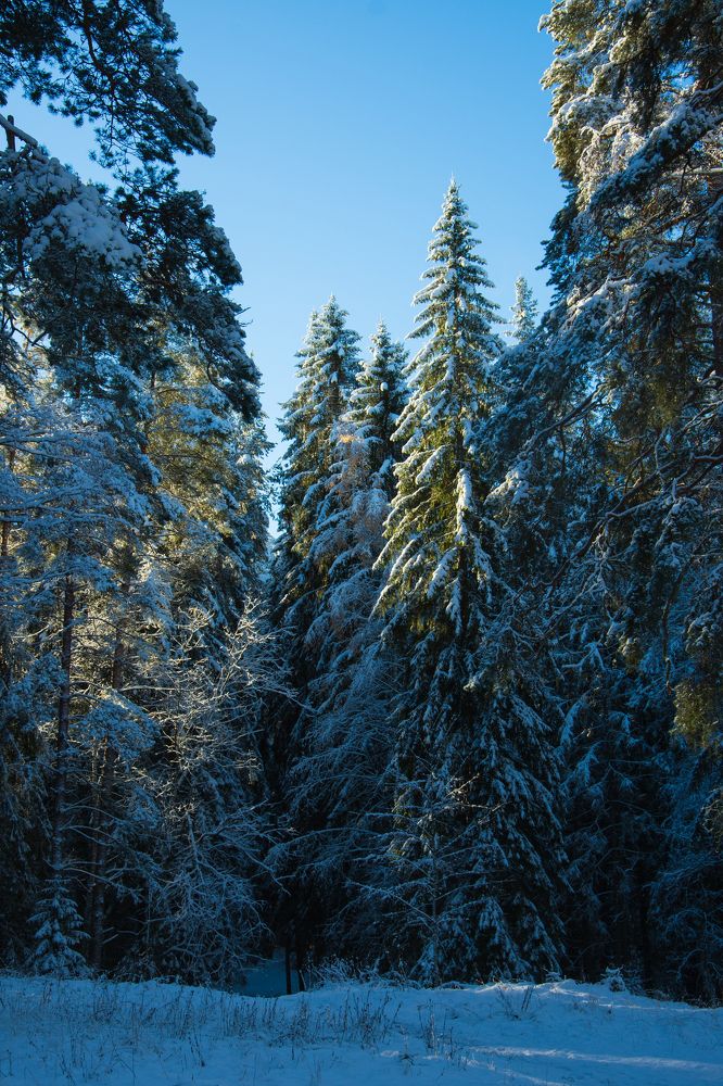 Photograph by Ксения Малютина