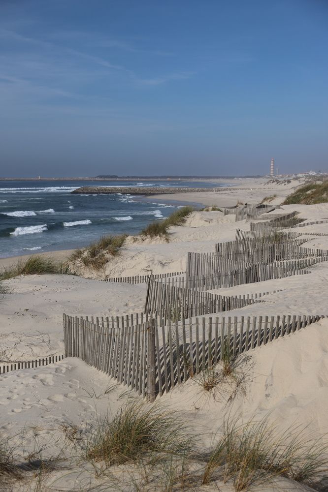 Фотография автора ANNA ILICHEVA