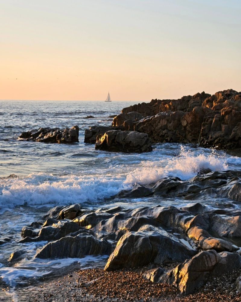 Фотография автора ANNA ILICHEVA