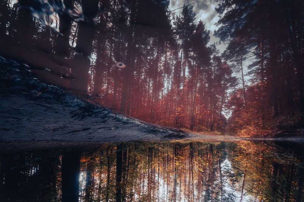 Photograph by Nephotograph