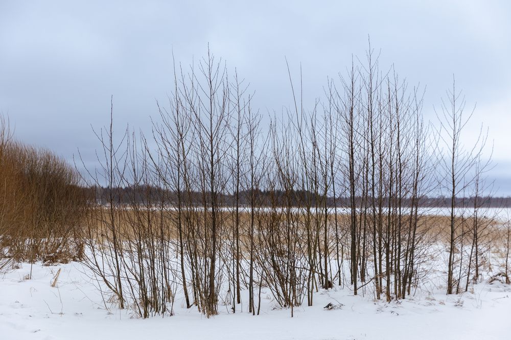 Photograph by Олеся Гаранина