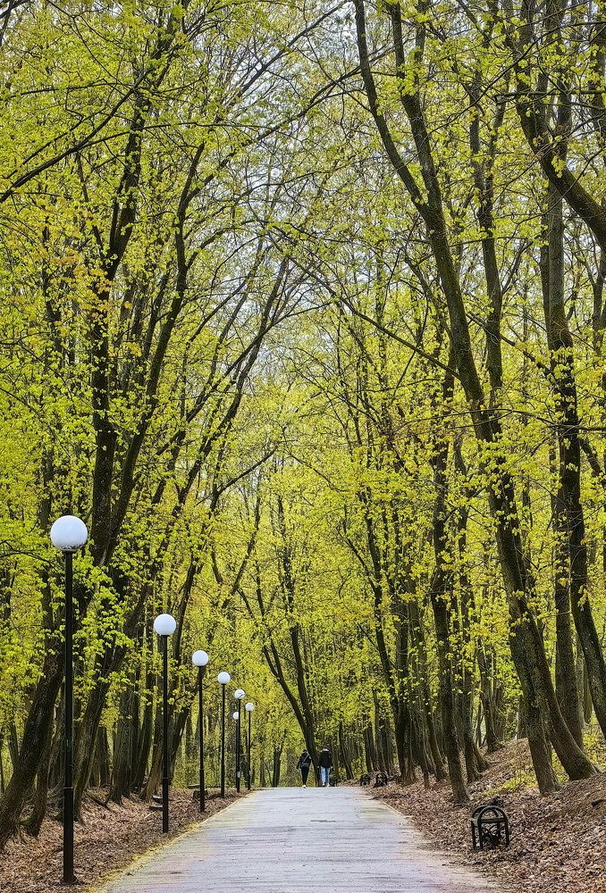 Photograph by Кристина Феминова