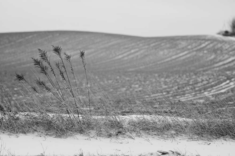 Photograph by Михаил Тумилович