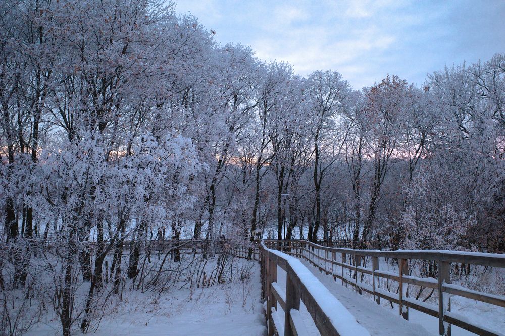 Photograph by Алла Никушкина