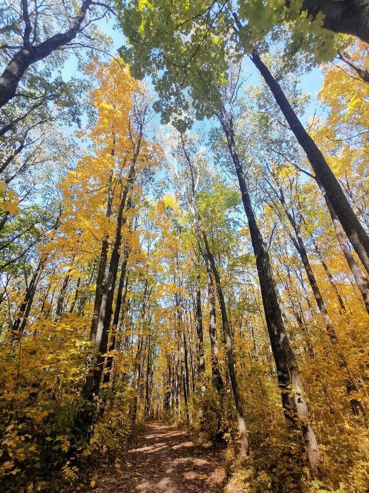 Photograph by Alexey Reznichenko