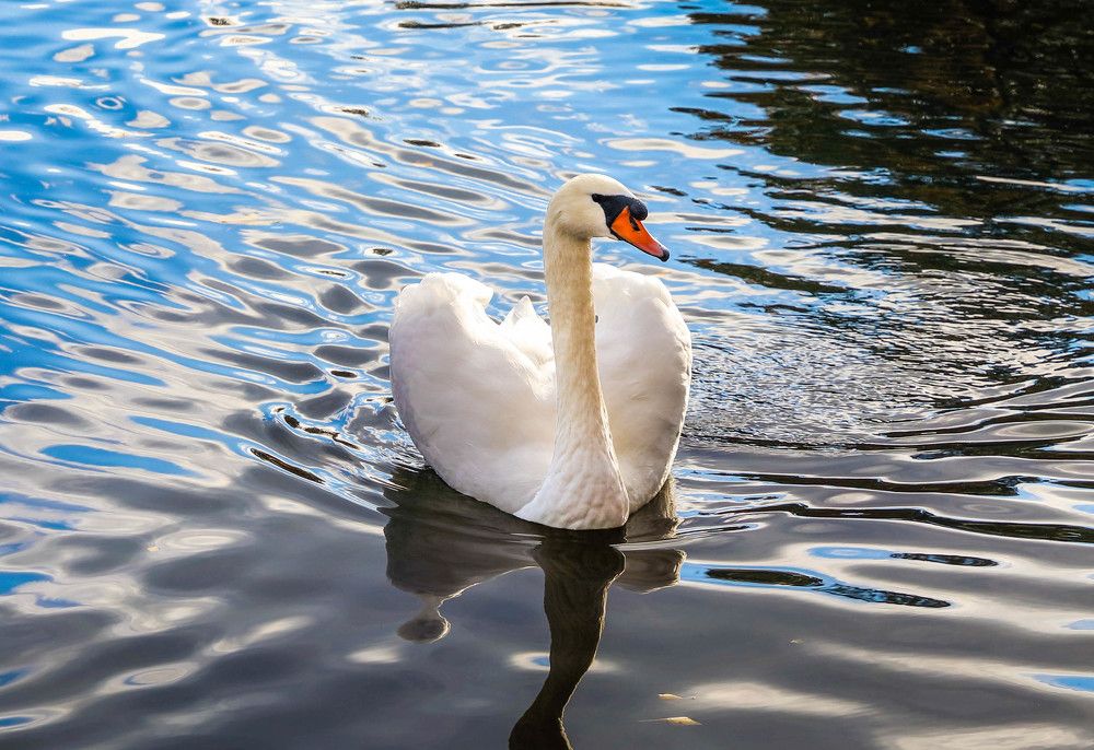 Photograph by Михаил Бояркин