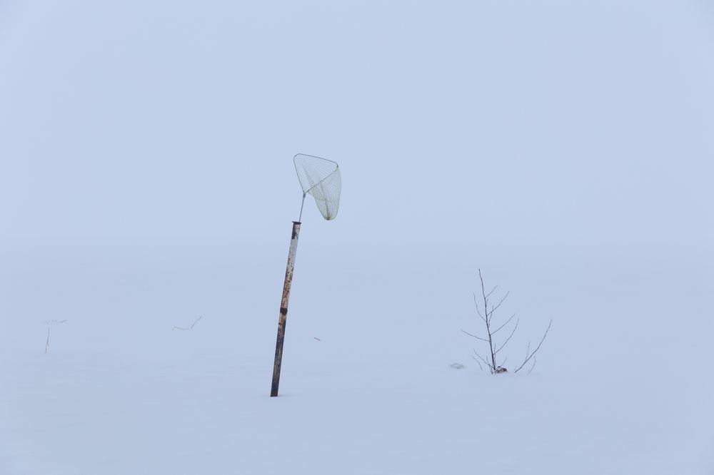 Photograph by Олеся Гаранина