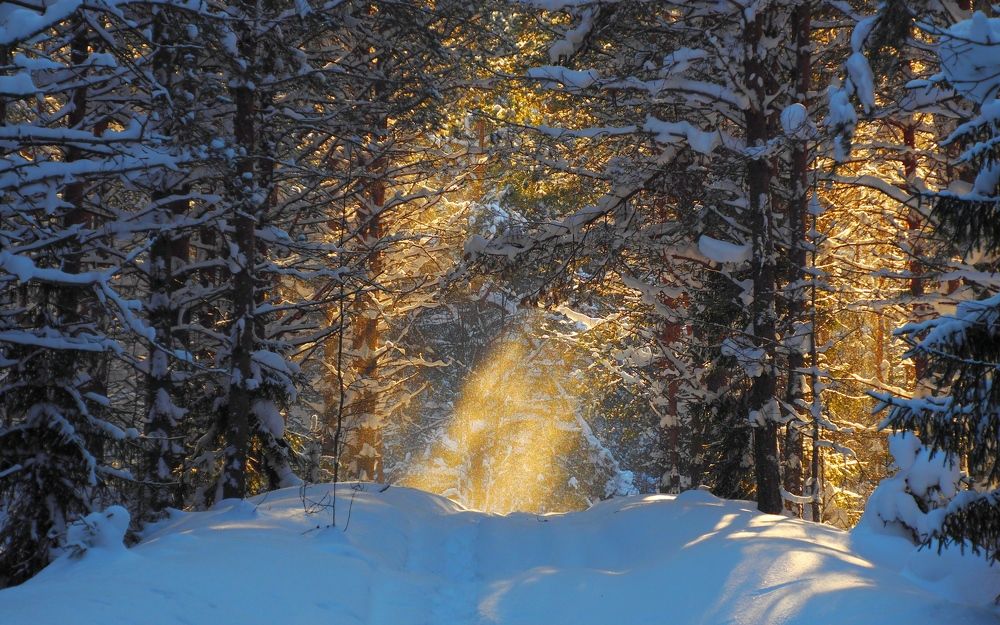 Photograph by PERESHEIN ANDREY