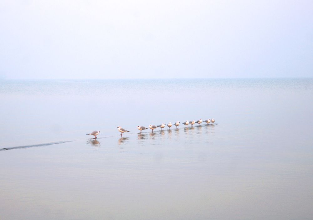 Photograph by Екатерина