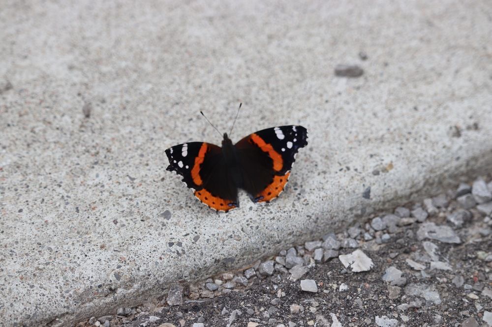 Photograph by Richard Xavier