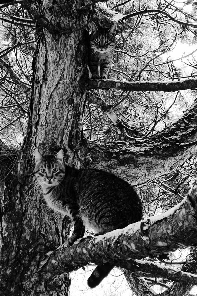 Photograph by Наталья Назаренко