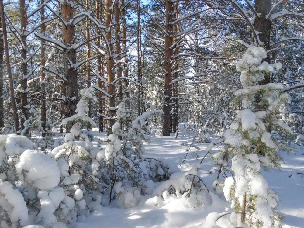 Photograph by Анжелика Трошина