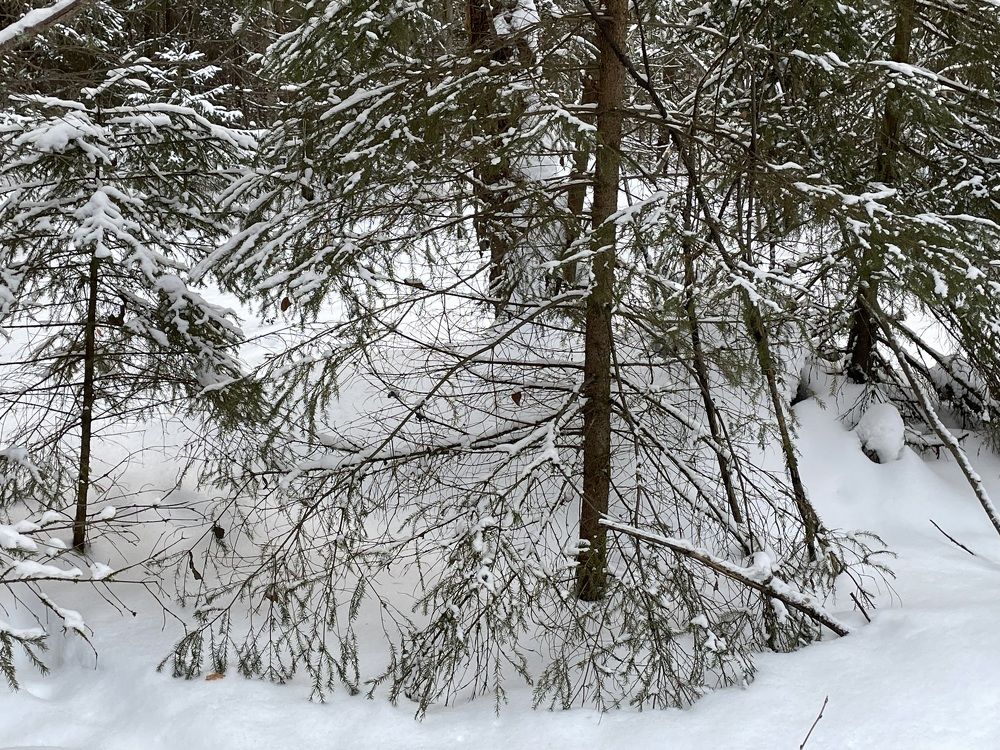 Photograph by Владислав Рубцов