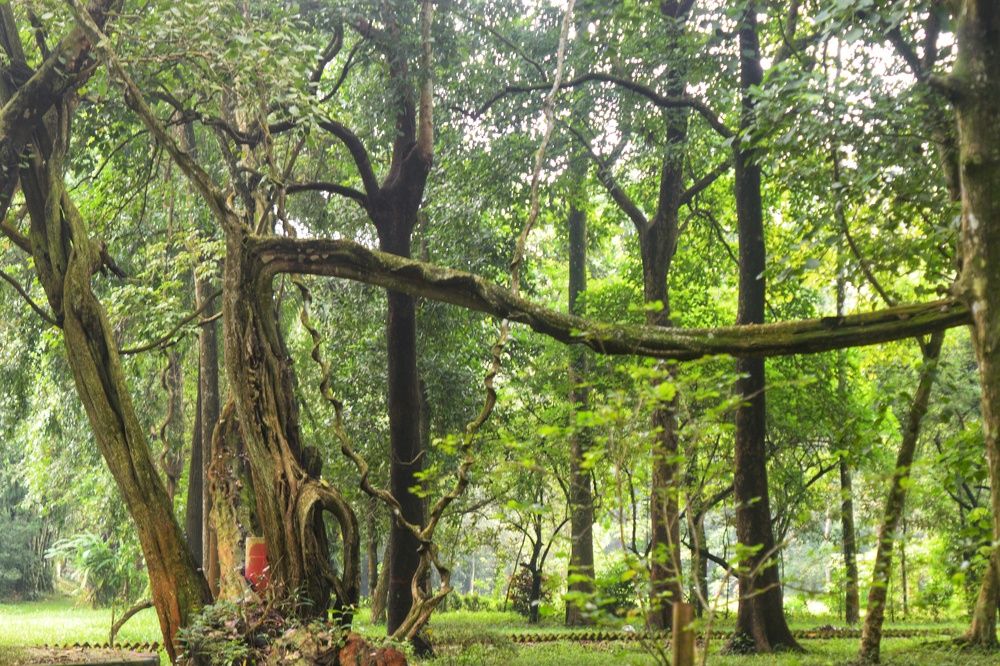 Фотография автора Sheuli Akther