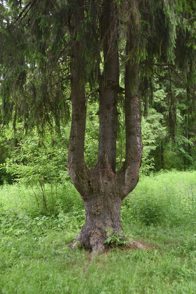 Photograph by Владислав Рубцов