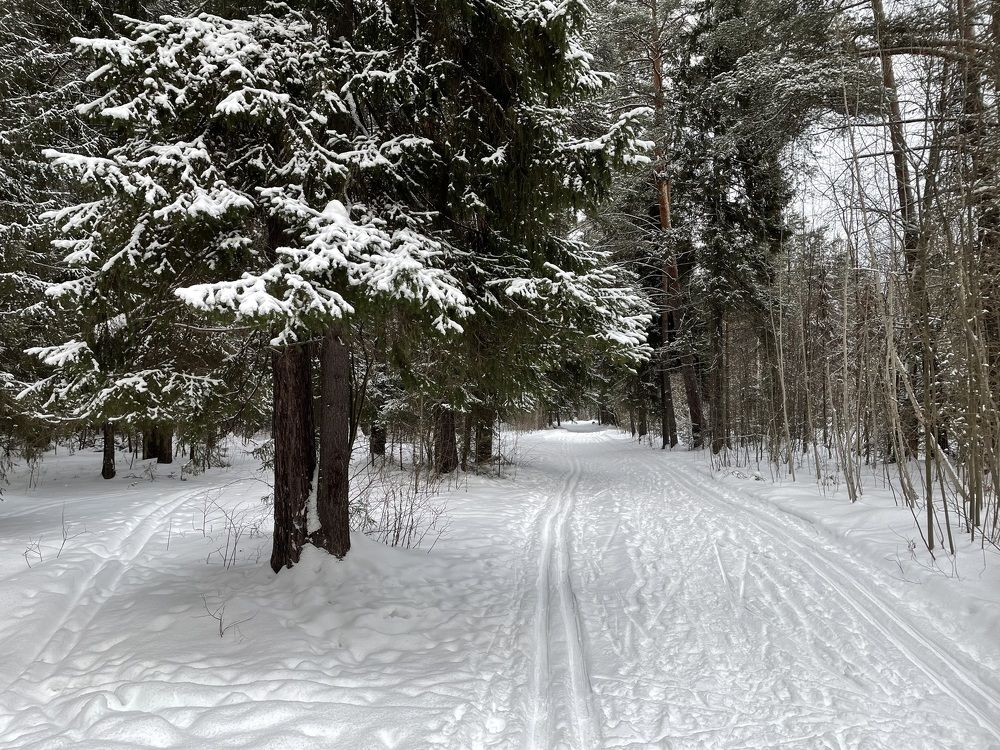 Photograph by Владислав Рубцов