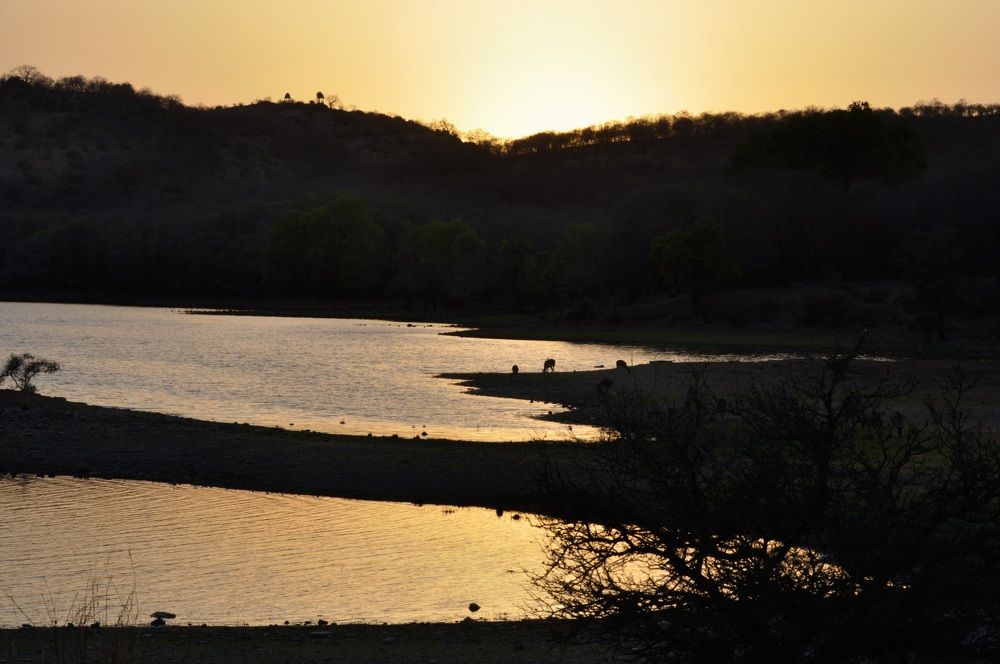 Фотография автора Gaurav Khosla