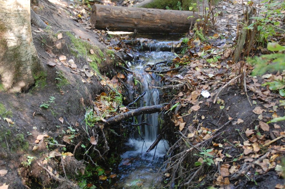 Photograph by Владислав Рубцов