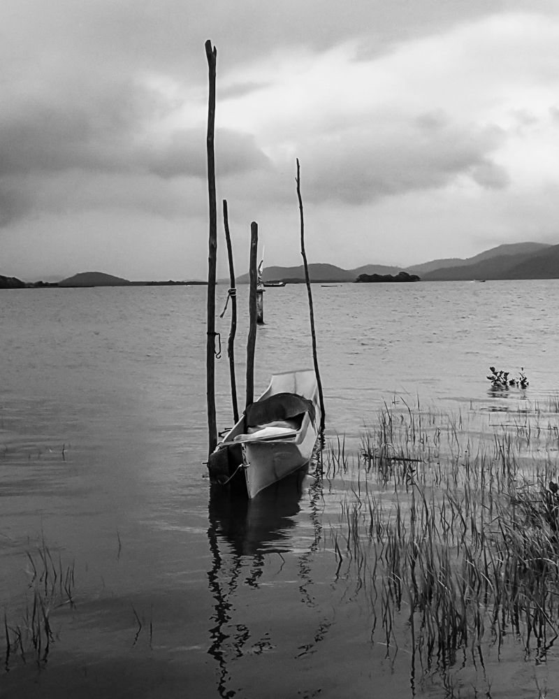 Photograph by adriana menez