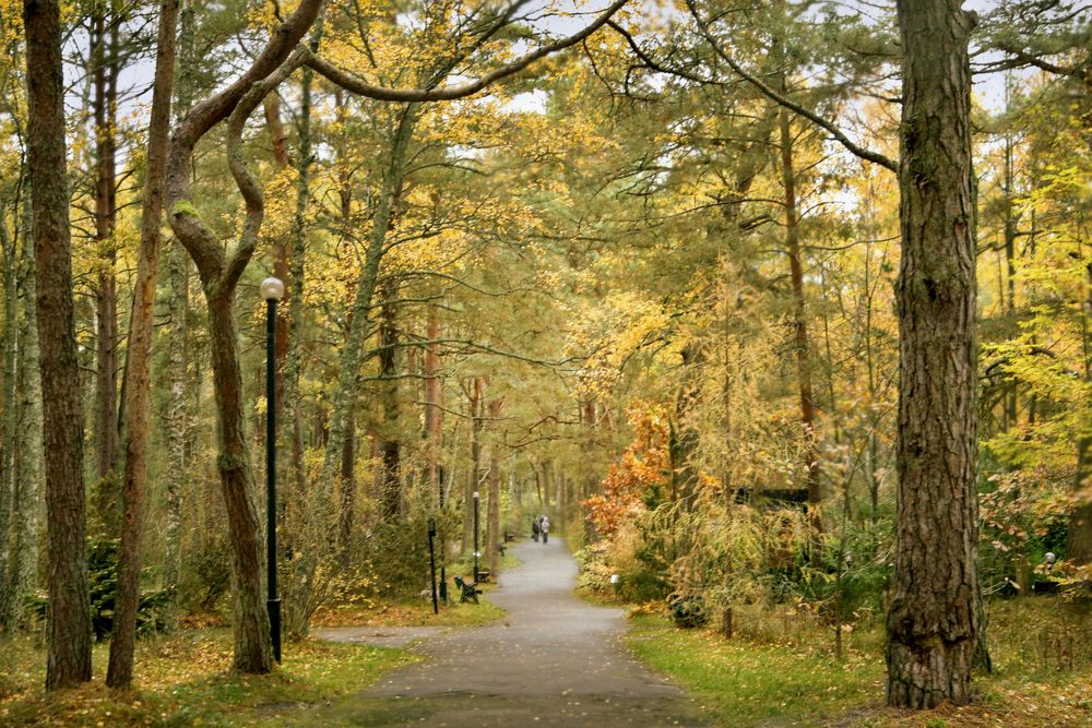 Photograph by Шруб (Беляева) Татьяна