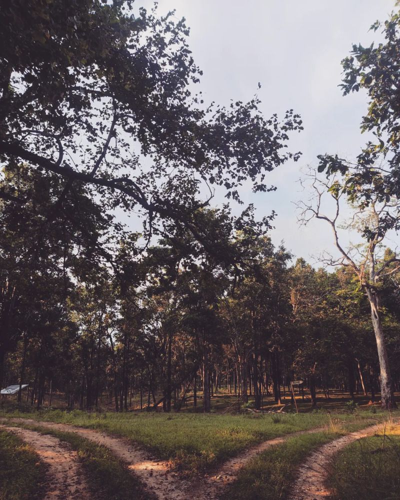 Photograph by Kaneeshk Toriya