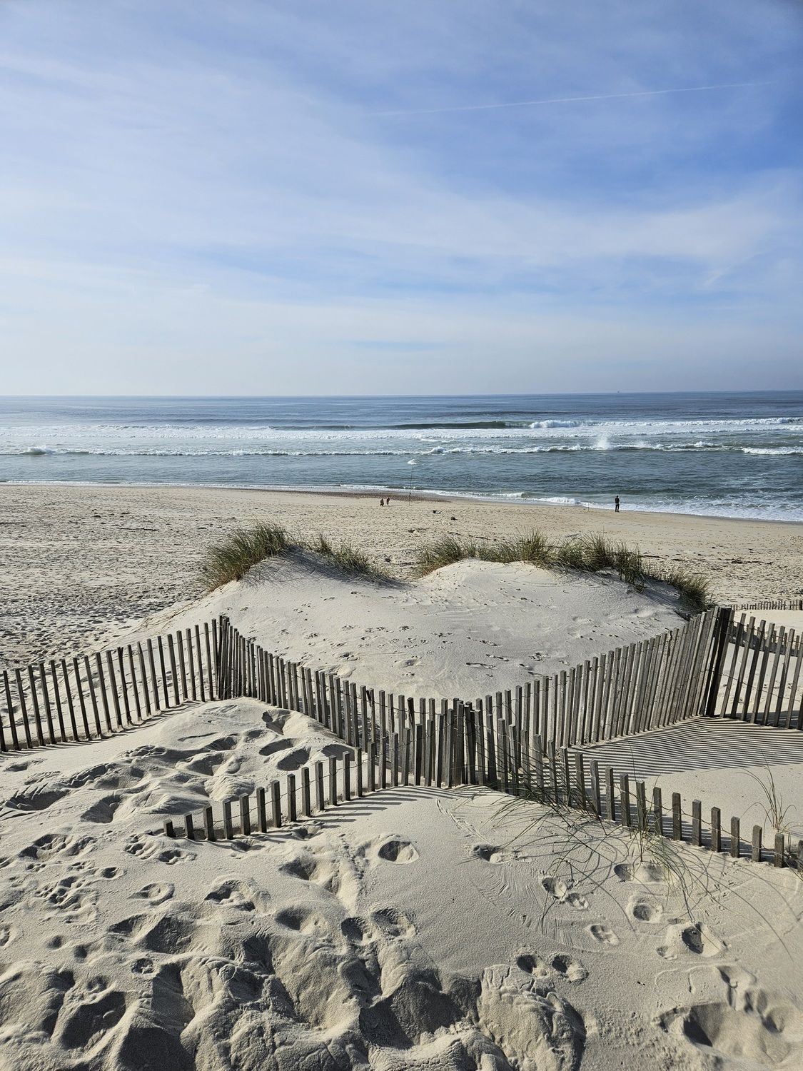 Фотография автора ANNA ILICHEVA