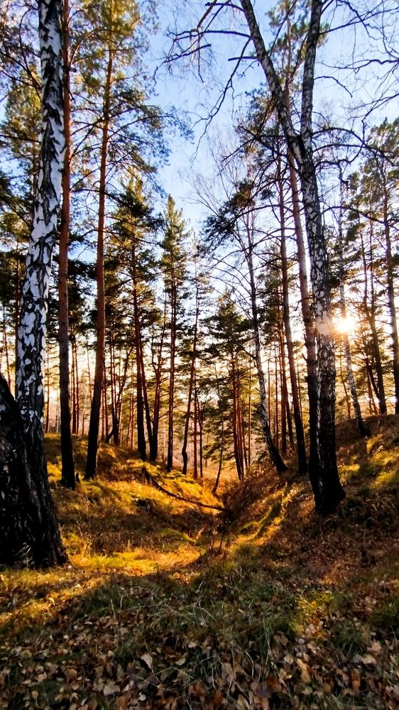 Photograph by Татьяна Лихачева