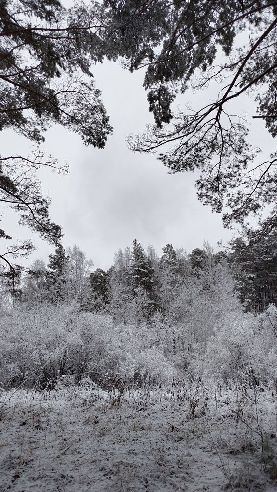 Photograph by Татьяна Лихачева