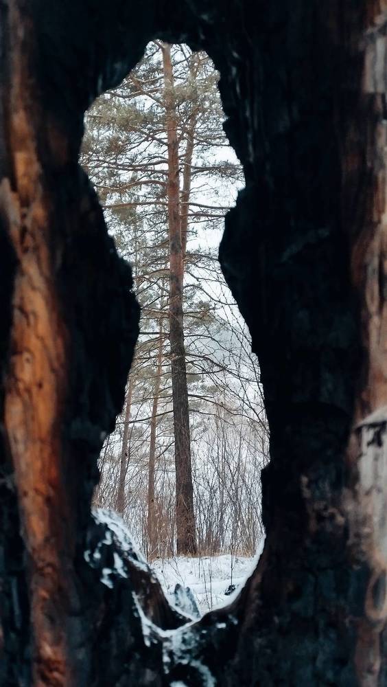 Photograph by Татьяна Лихачева