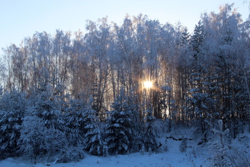 Photograph by Герасимов Игорь