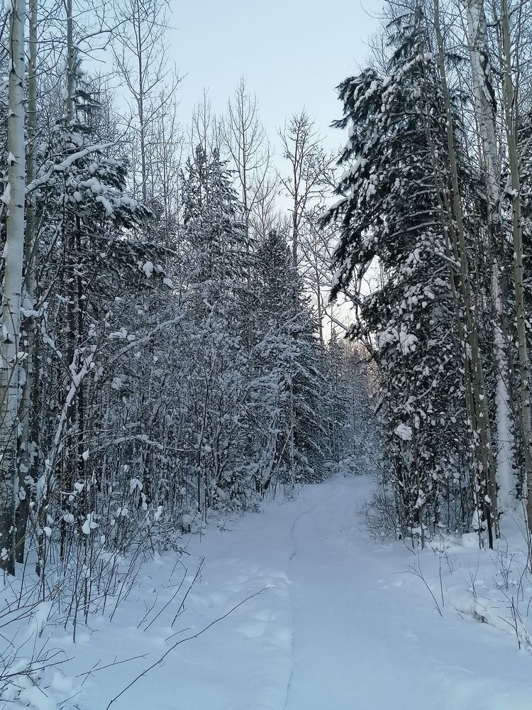 Photograph by Наталья Петухова