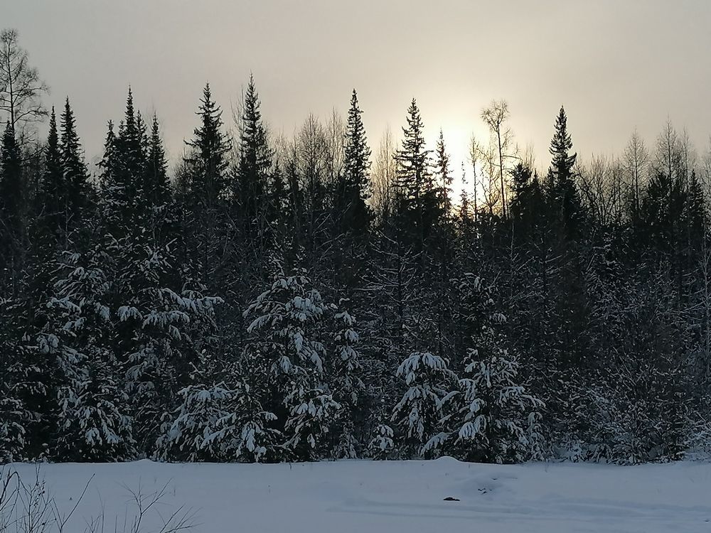 Photograph by Наталья Петухова