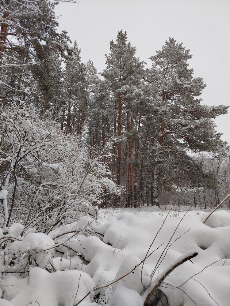 Photograph by Olga Александрова
