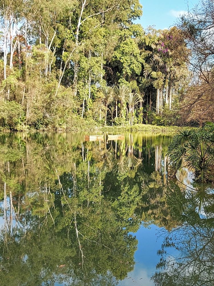 Photograph by Rosane Cortez