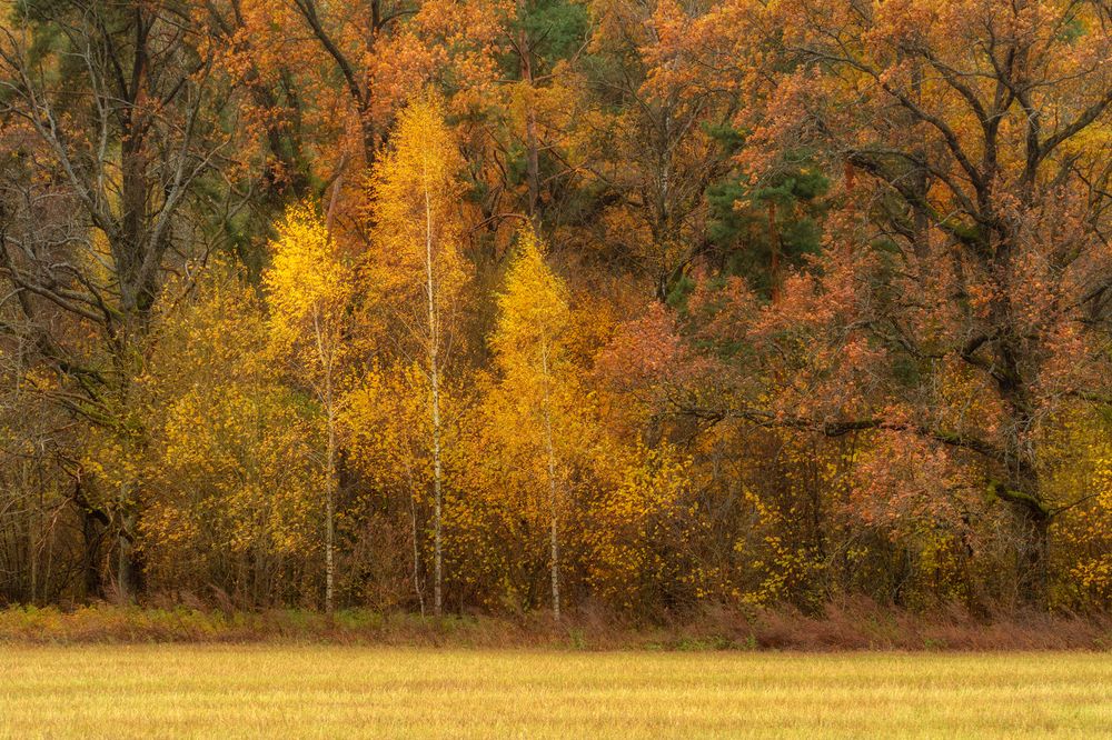 Photograph by Сергей Дишук