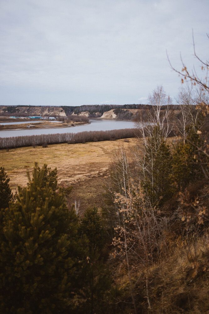 Фотография автора Анна Хейфиц