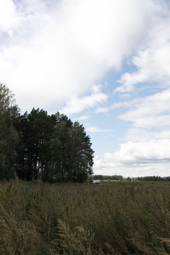 Фотография автора Анна Хейфиц