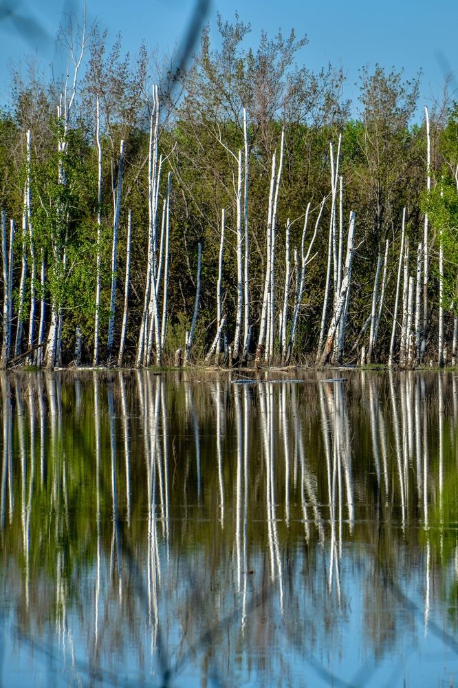 Photograph by Ольга Андронова