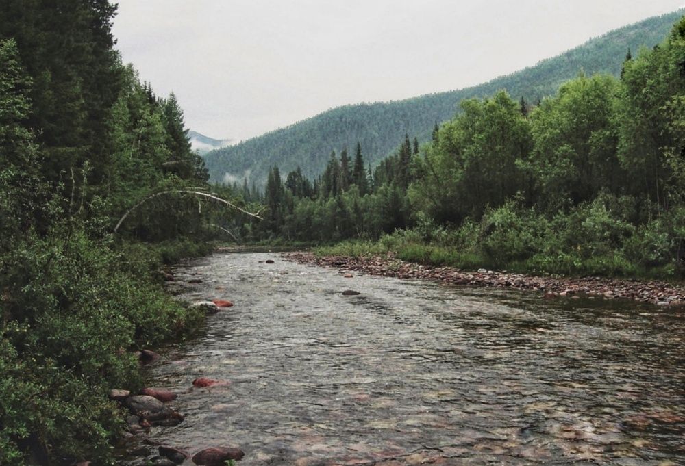 Photograph by Олеся Хижко