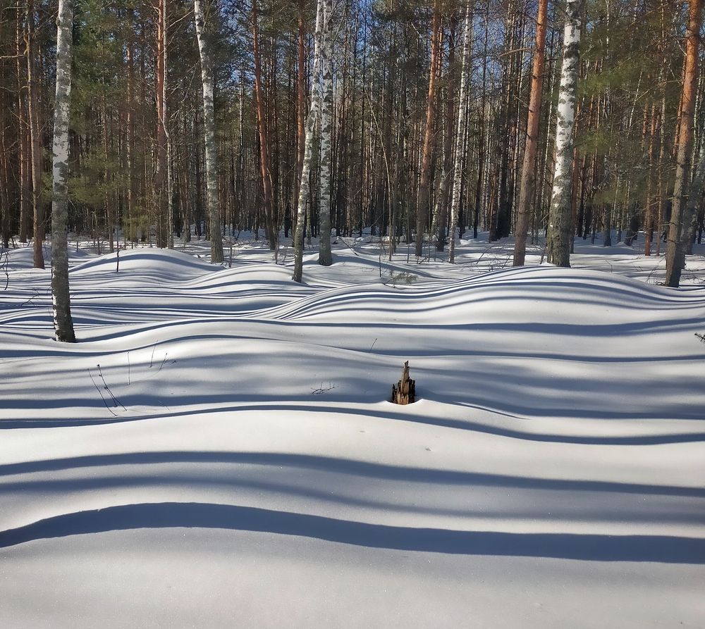 Photograph by Ольга Мартьянова