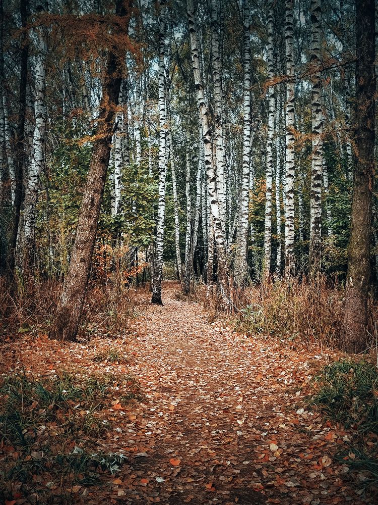 Photograph by Олеся Хижко