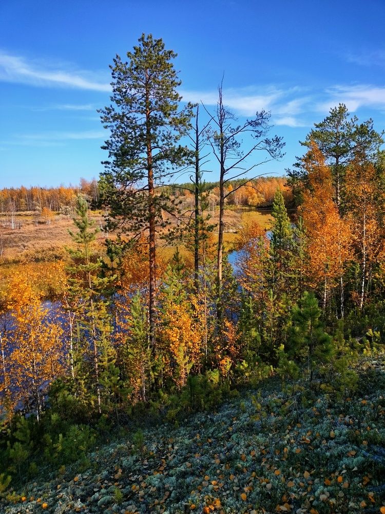 Photograph by Татьяна Небрат