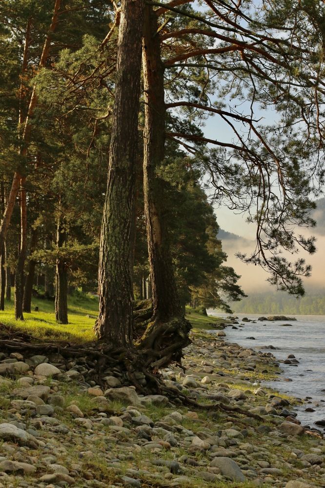 Photograph by Svetlana Kovalchuk