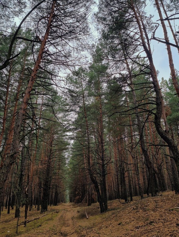 Photograph by Александра