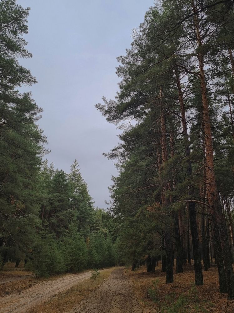 Photograph by Александра