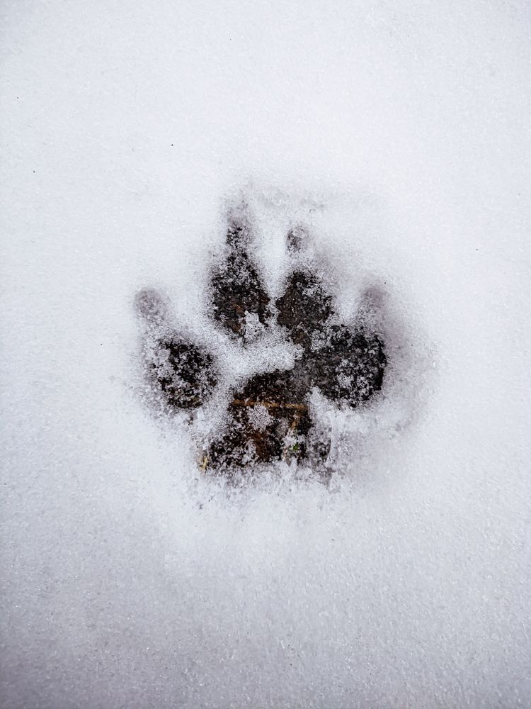 Фотография автора Александр Хухлов
