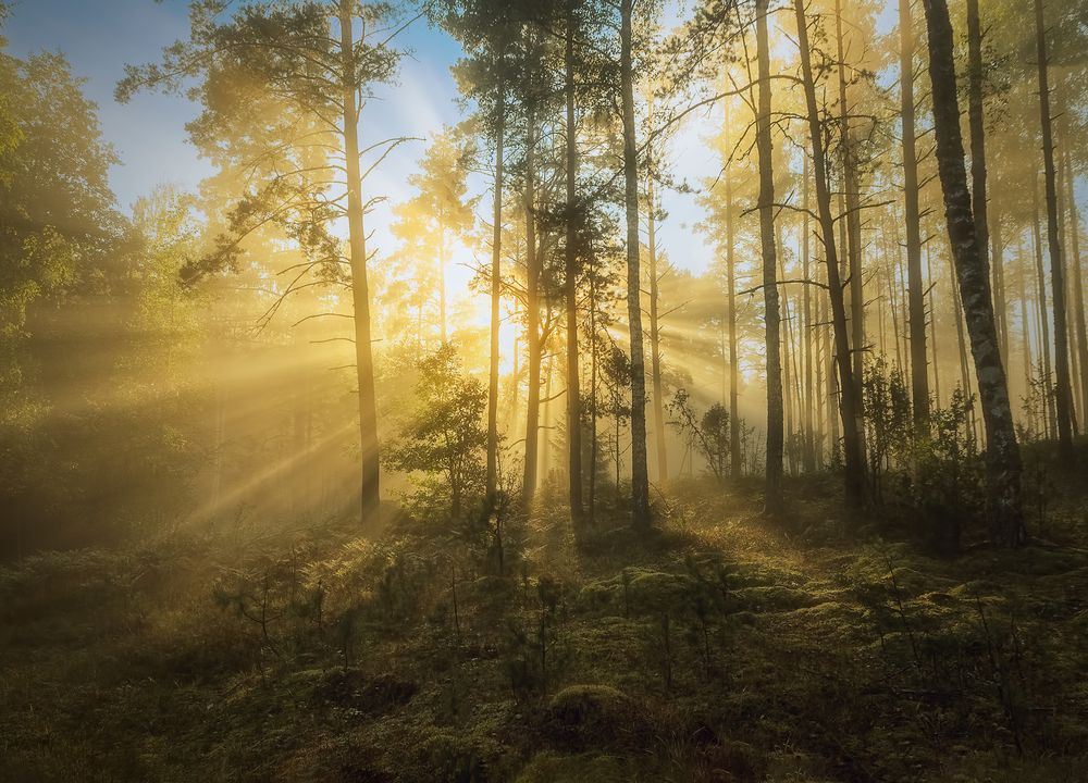 Photograph by Andrew Kuzmin